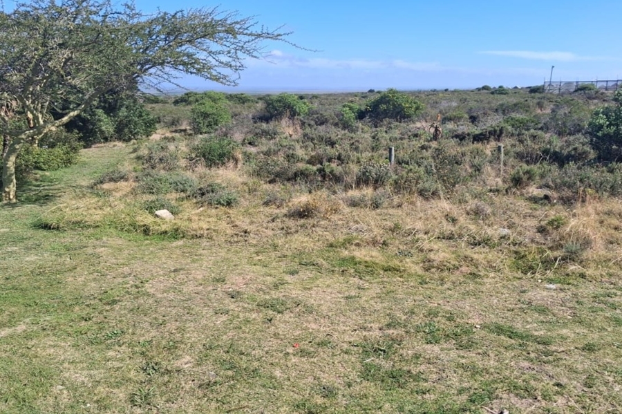 Commercial Property for Sale in Fountains Estate Eastern Cape